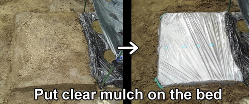 Put clear mulch on the bed