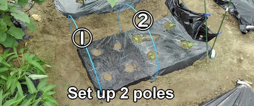 Set up 2 poles