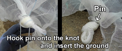 Hook pin onto the knot and insert the ground