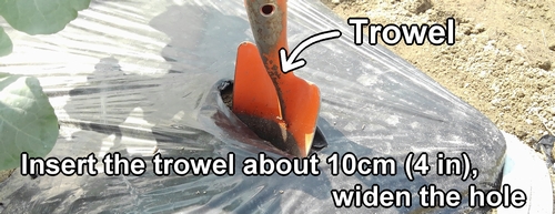 Insert trowel into the slits in the mulch