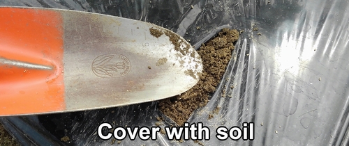 Cover with soil