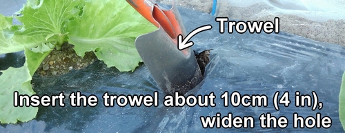 Insert trowel into the slits in the mulch