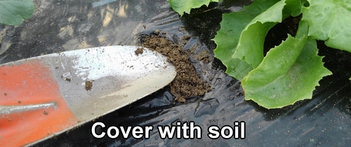 Cover with soil