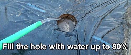 Fill the hole with water up to 80%