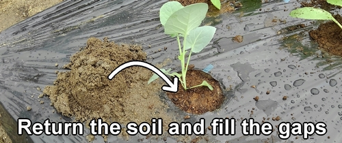 Return the soil and fill the gaps