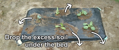 Any excess soil from planting seedlings should be dropped beneath the bed