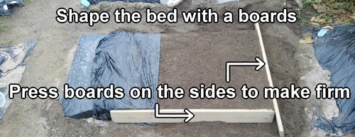 How to make the bed for sugar snap peas (Build bed for snap peas)