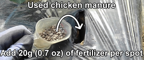 For fertilizing, used chicken manure