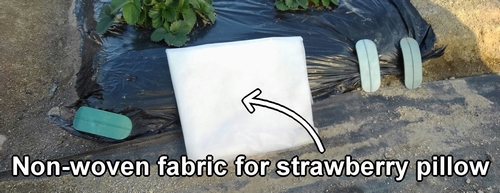 Non-woven fabric for the strawberry support