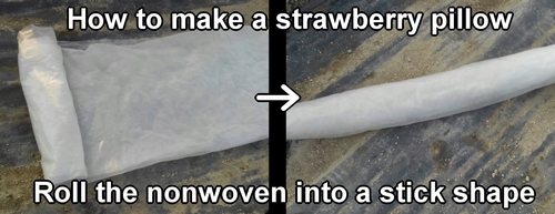 How to make a strawberry support (DIY strawberry support)