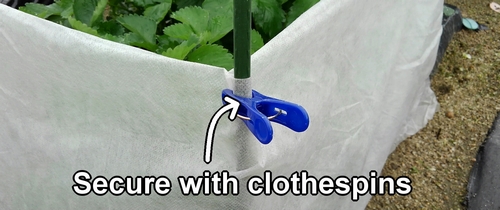 Secure the non-woven fabric with clothespins