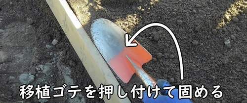 畝の縁は、移植ゴテを使って固める