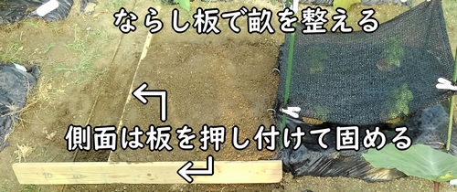 土作り後は、ロマネスコ（カリブロ、カリッコリー）の畝を立てる