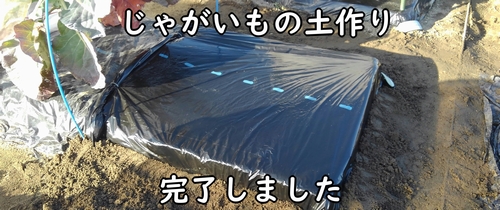 じゃがいも（馬鈴薯・ジャガイモ）の植え付け前の土作り完了です