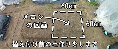 メロン（露地ネットメロン）の栽培区画